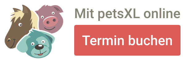 Terminvereinbarung über petsXL